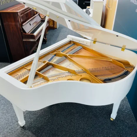 RitmullerRS-150PolishedWhiteBehindView_1100x_c348cfbb-e939-4cdf-bc54-fbff446cc441 RitmullerRS-150PolishedWhiteBehindView_1100x_c348cfbb-e939-4cdf-bc54-fbff446cc441