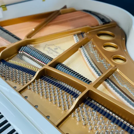 RitmullerRS-150PolishedWhiteIronFrame_Strings_1100x_a41421ab-d312-45c7-8f04-6dbd360e852a RitmullerRS-150PolishedWhiteIronFrame_Strings_1100x_a41421ab-d312-45c7-8f04-6dbd360e852a