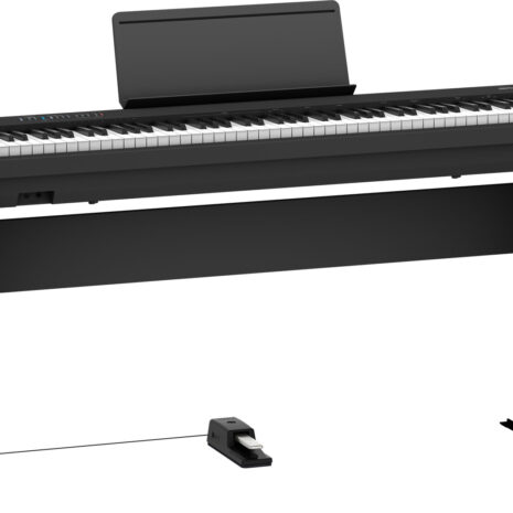 fp-30x-bk_angle_stand_pedal_gal fp-30x-bk_angle_stand_pedal_gal