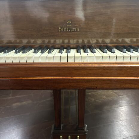 photo_4902534096001633256_y photo_4902534096001633256_y