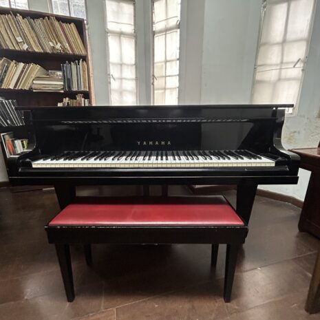 photo_4902534096001633259_y photo_4902534096001633259_y