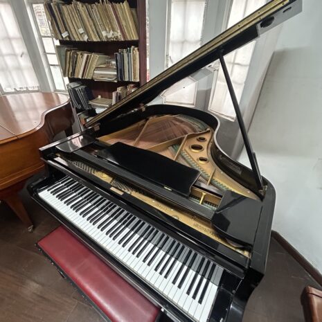 photo_4902534096001633260_y photo_4902534096001633260_y