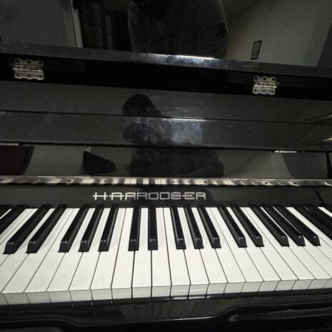 photo_4902534096001633263_y photo_4902534096001633263_y