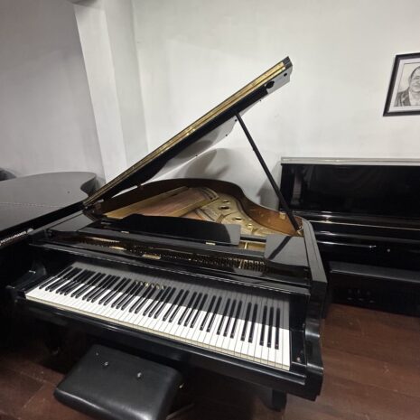 photo_4904522352327068748_y photo_4904522352327068748_y