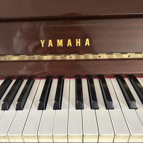 photo_4904522352327068757_y photo_4904522352327068757_y