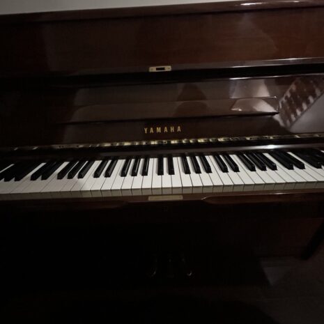 photo_4904522352327068766_y photo_4904522352327068766_y