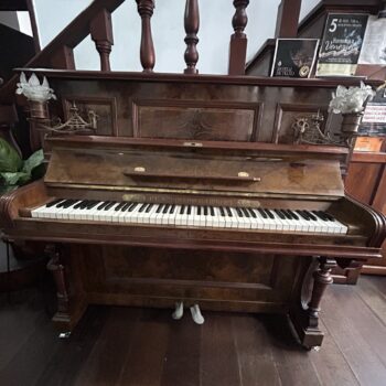 Piano Vertica FL Neumann