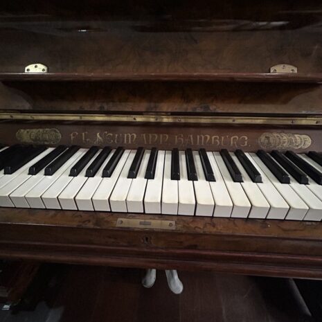 photo_4904522352327068769_y photo_4904522352327068769_y