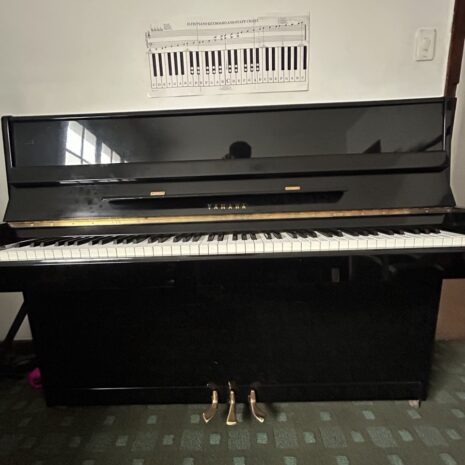 photo_4904522352327068771_y