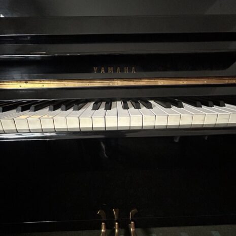 photo_4904522352327068774_y photo_4904522352327068774_y