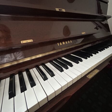 photo_4904522352327068775_y photo_4904522352327068775_y