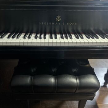 photo_4906774152140753888_y