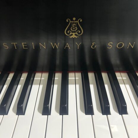 photo_4906774152140753889_y photo_4906774152140753889_y