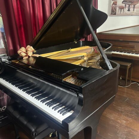 photo_4906774152140753894_y photo_4906774152140753894_y