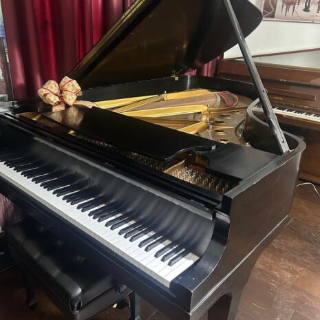 photo_4906774152140753895_y photo_4906774152140753895_y